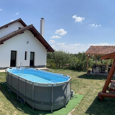 Pensiunea Alina Baia de Fier Exterior photo