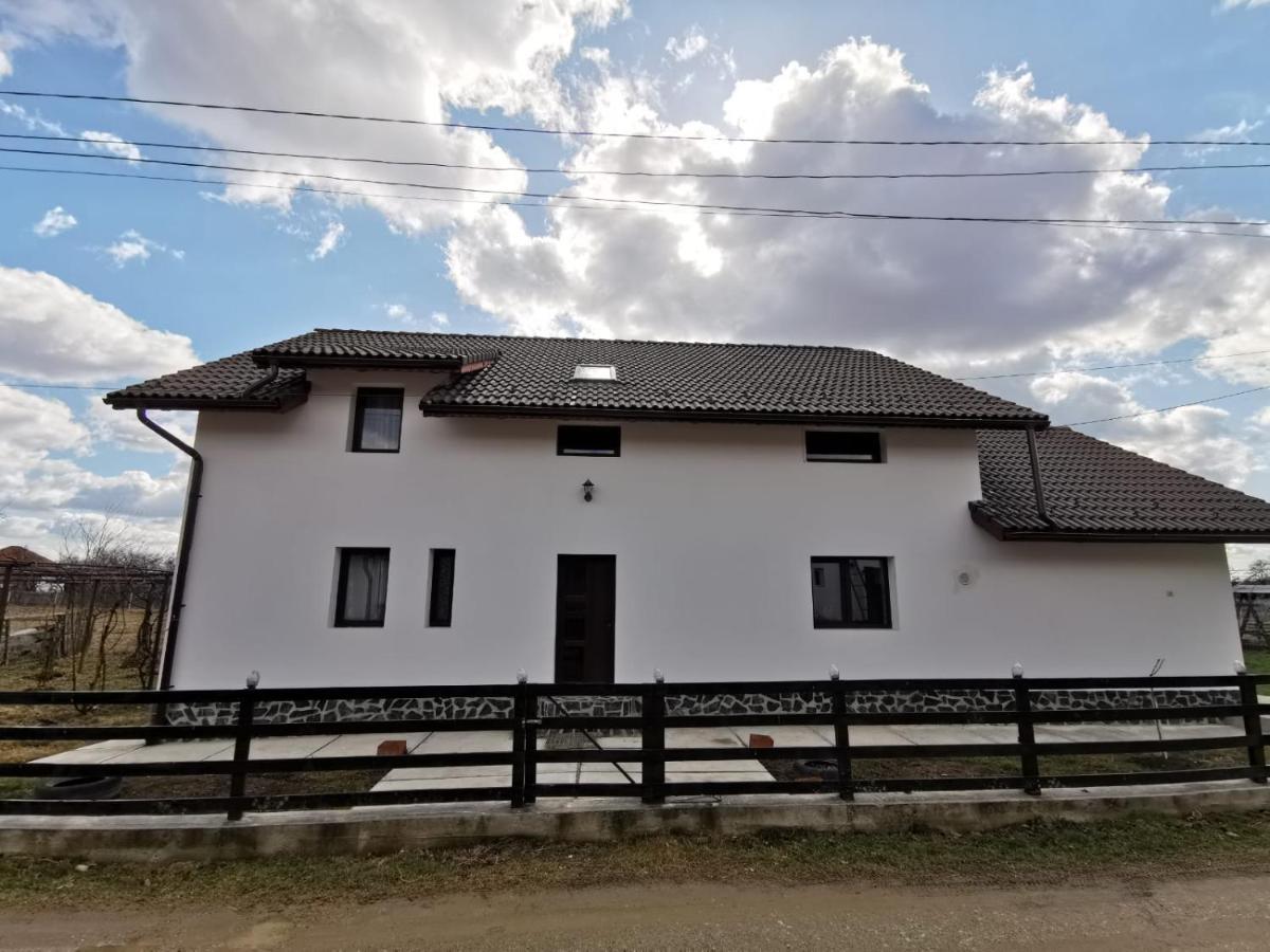 Pensiunea Alina Baia de Fier Exterior photo