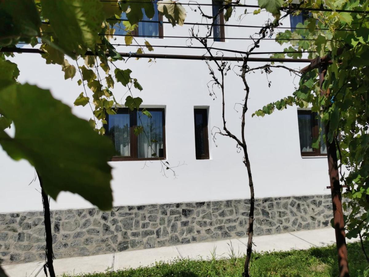 Pensiunea Alina Baia de Fier Exterior photo