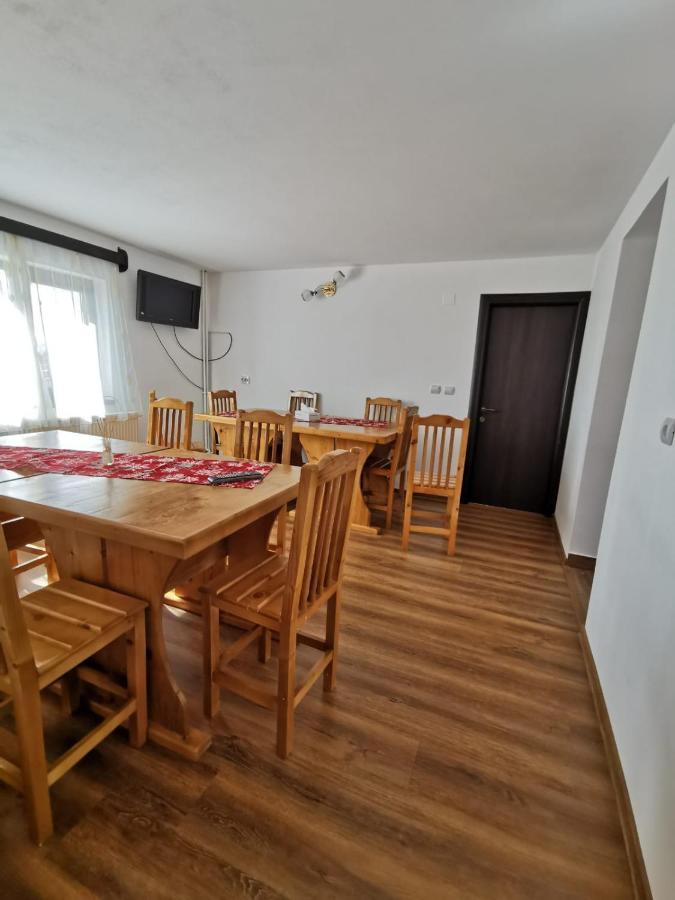Pensiunea Alina Baia de Fier Exterior photo