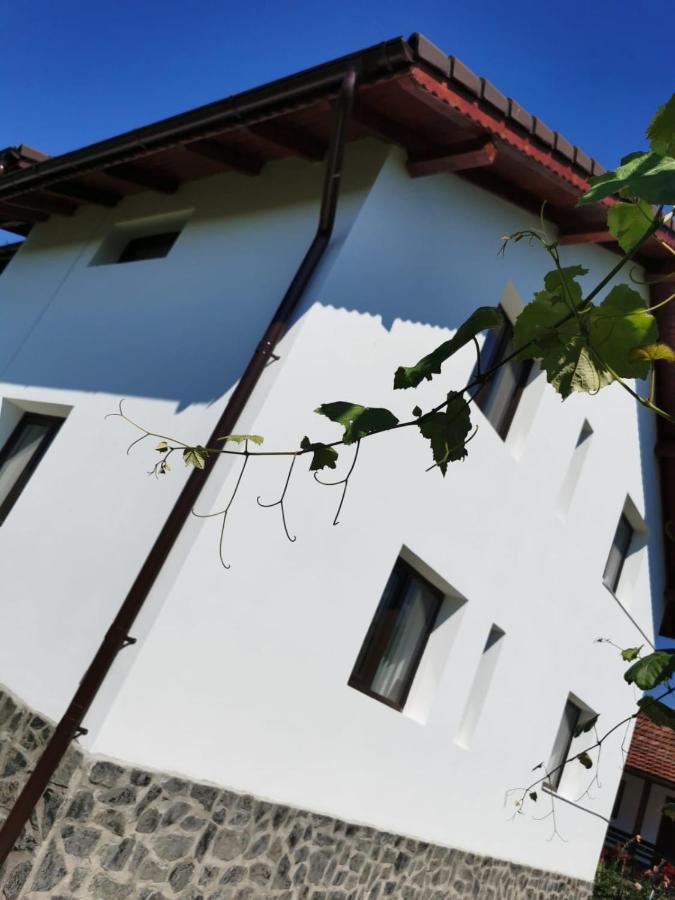 Pensiunea Alina Baia de Fier Exterior photo