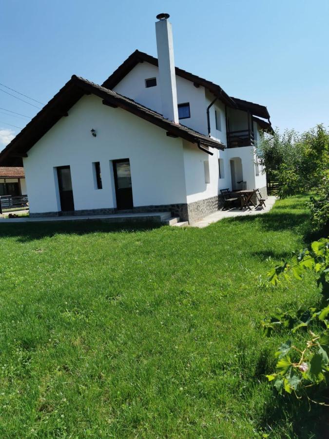 Pensiunea Alina Baia de Fier Exterior photo