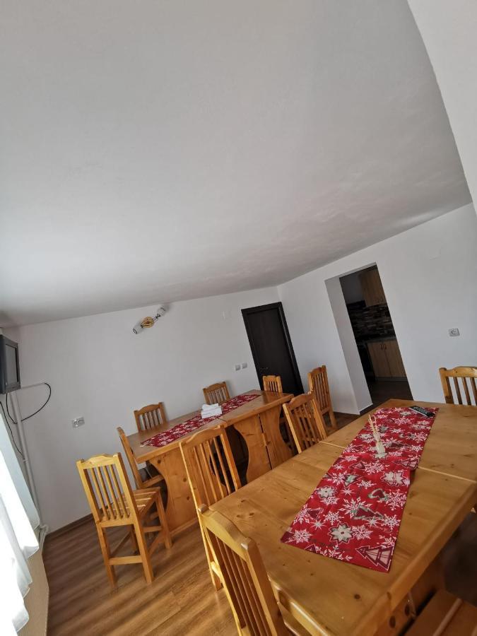 Pensiunea Alina Baia de Fier Exterior photo