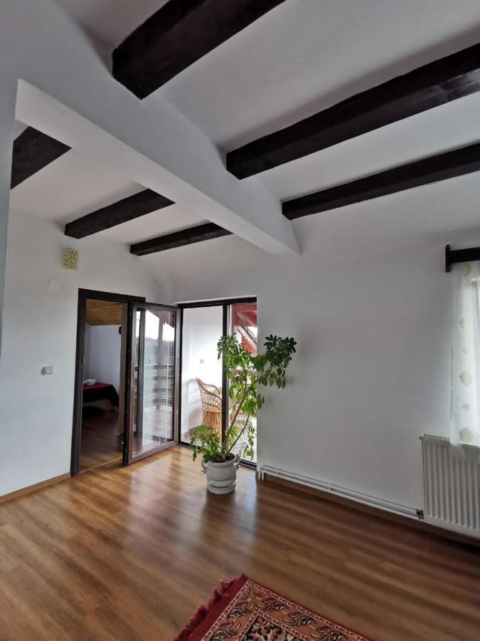 Pensiunea Alina Baia de Fier Exterior photo