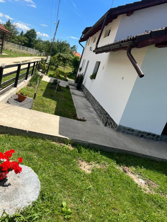 Pensiunea Alina Baia de Fier Exterior photo