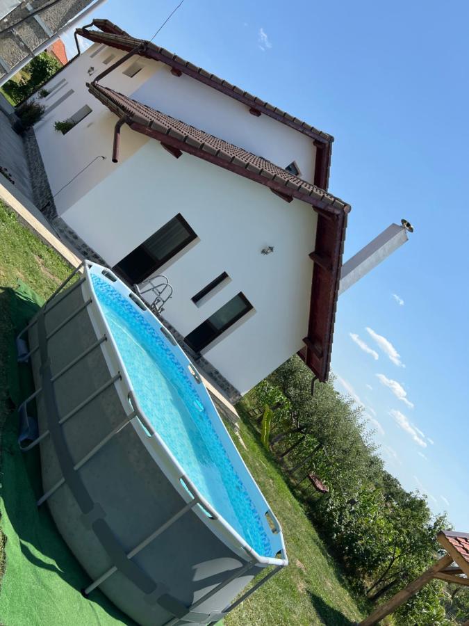 Pensiunea Alina Baia de Fier Exterior photo
