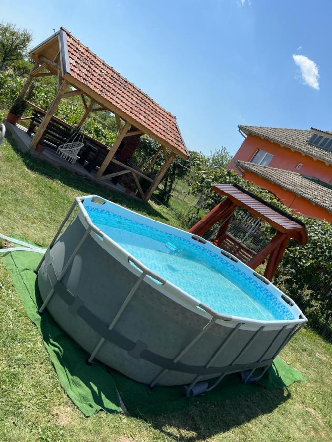 Pensiunea Alina Baia de Fier Exterior photo
