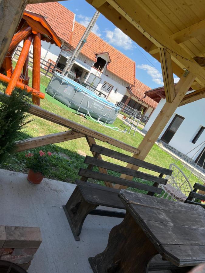 Pensiunea Alina Baia de Fier Exterior photo