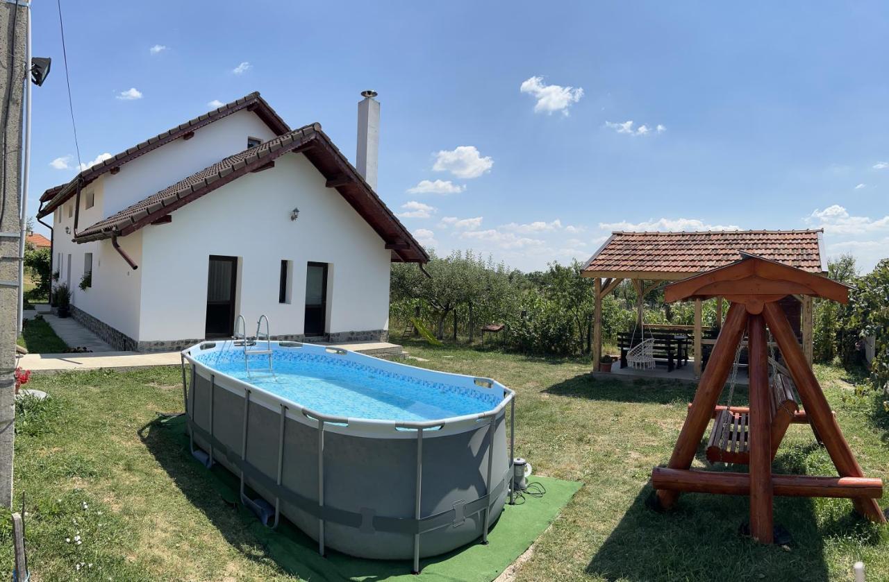 Pensiunea Alina Baia de Fier Exterior photo