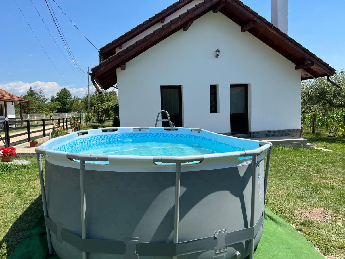 Pensiunea Alina Baia de Fier Exterior photo